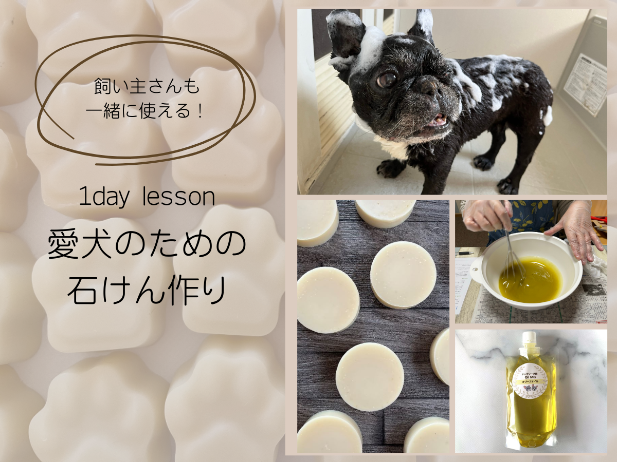 1dayレッスン・愛犬のための石けん